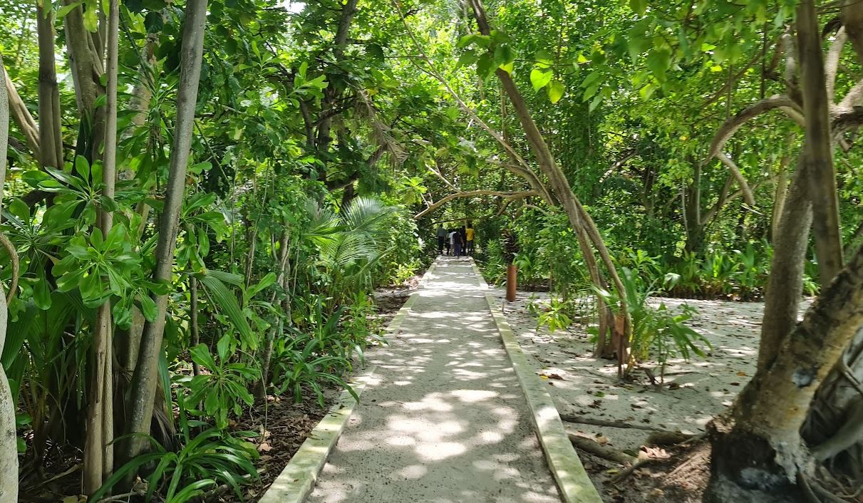 Biyadhoo Island resort redevelopment