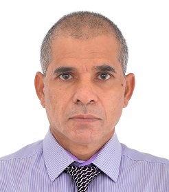 Mohamed Waheed - Consultant Electrical and Communication Engineer